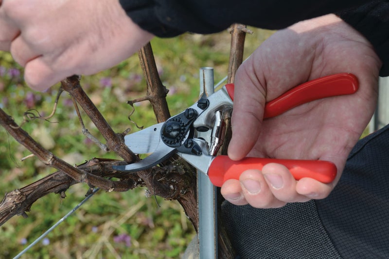 Felco F7 Pruning Shears â€“ 26" Swiss-Made Garden Clippers with Rotating Handle for Reduced Fatigue | Hand Pruners for Gardening | Garden Tool Cutter with Precision Bypass Blade, Aluminum Handles - Image 2